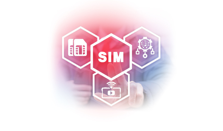 SIM Swap API
