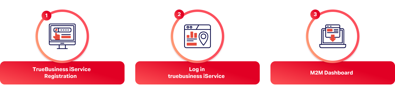 registration-and-usage-process-EN