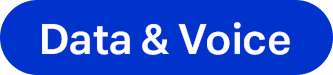 logo-net-call_blue_en