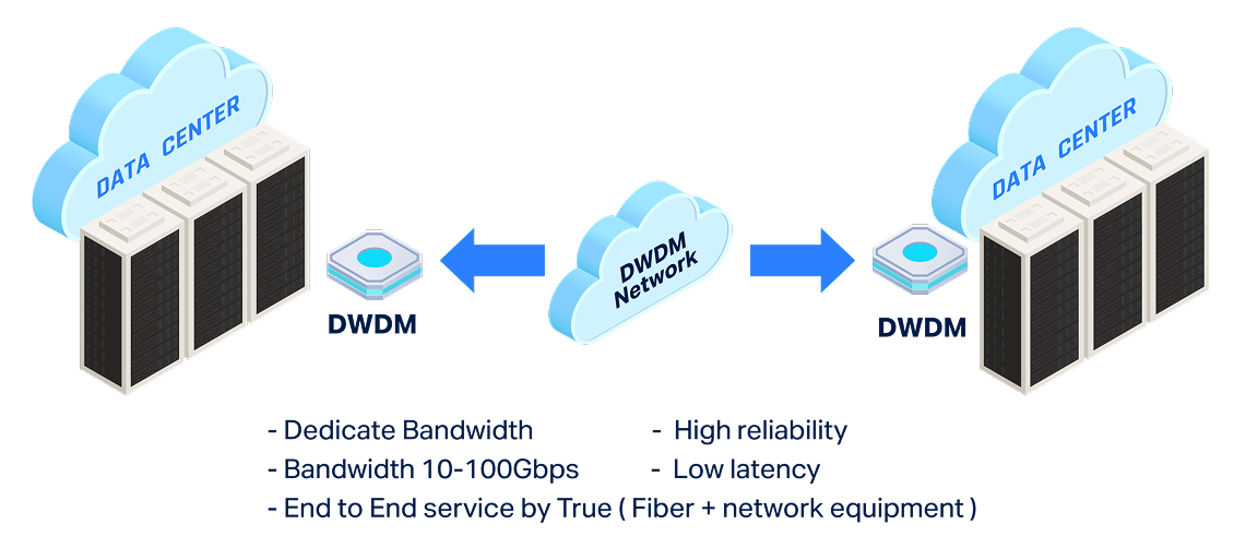 การทำงานของ DWDM Service