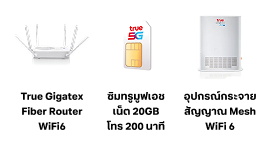 TrueOnline for SME